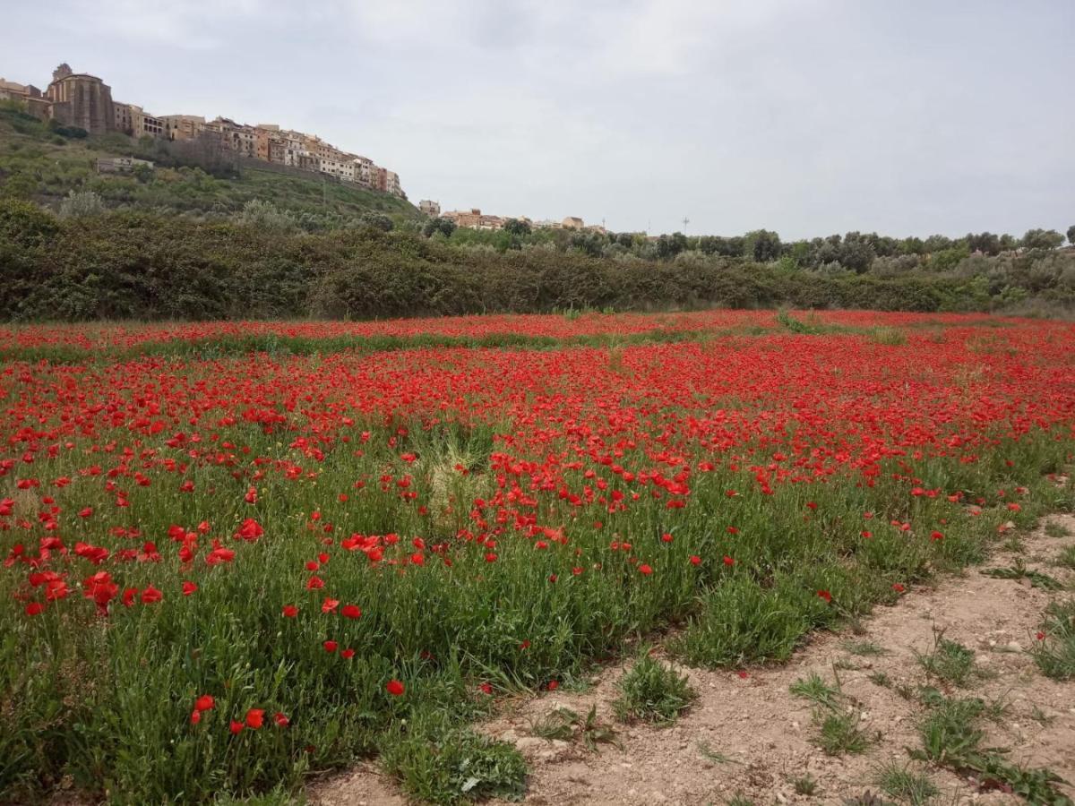 Els Ports D'Horta Apartamento Horta de Sant Joan Exterior foto